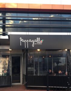 WhatsApp Image 2026-02-06 at 11.03.50 AM